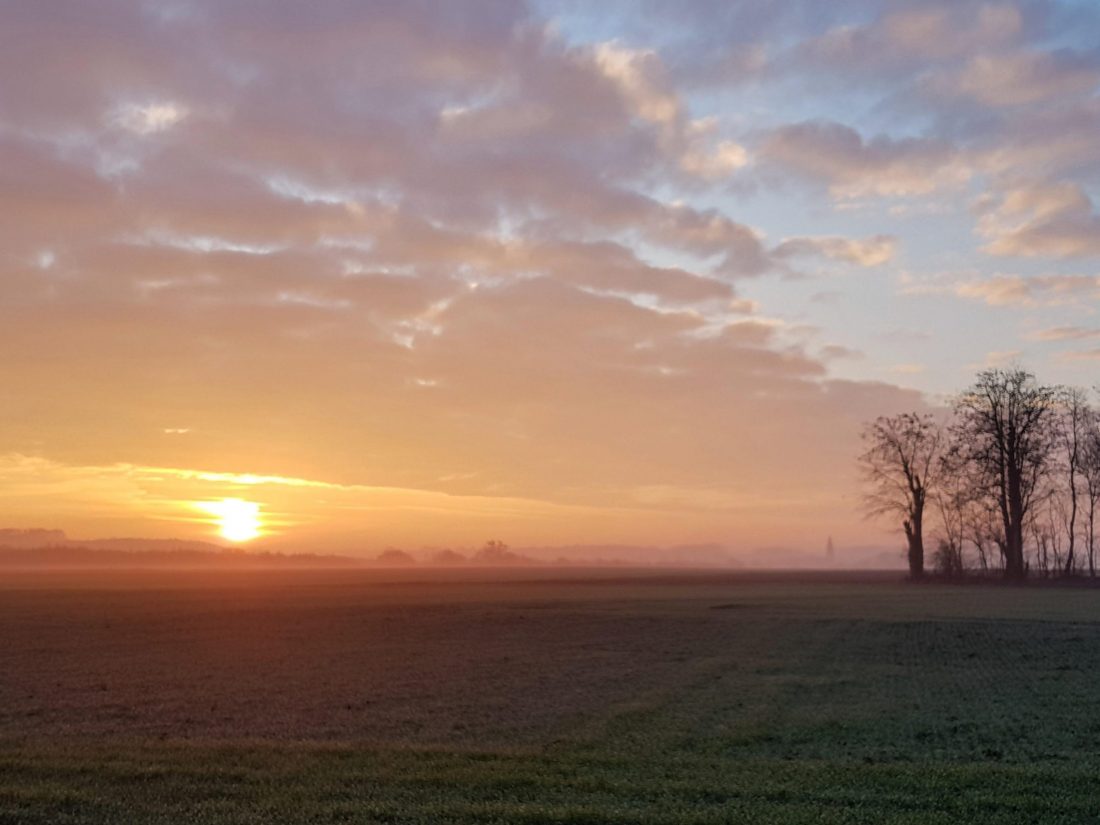 Er moet licht komen