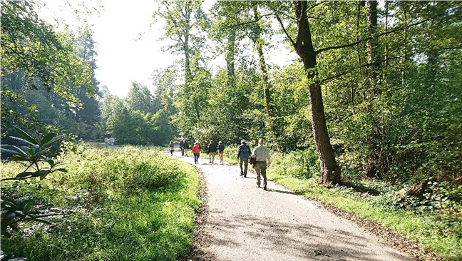 Pelgrimswandeling 2