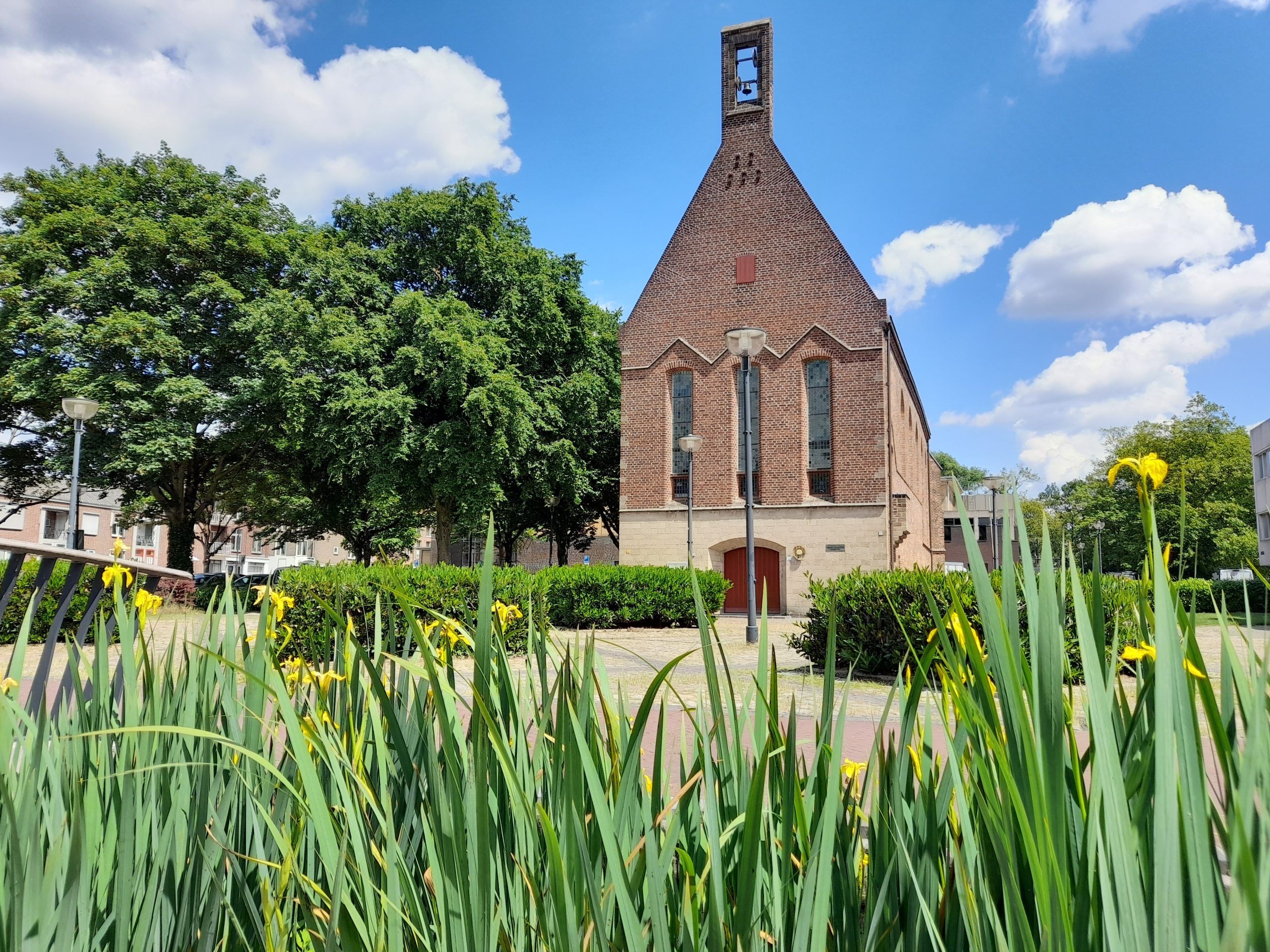 Waalse kerk met irisbeek waalse kerk en irissen
